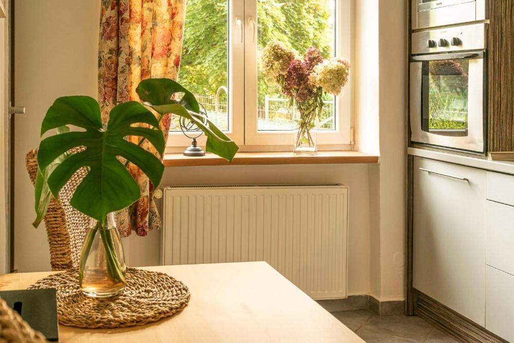Apartmán Lukas s KRBEM v centru Karviná Exteriér fotografie